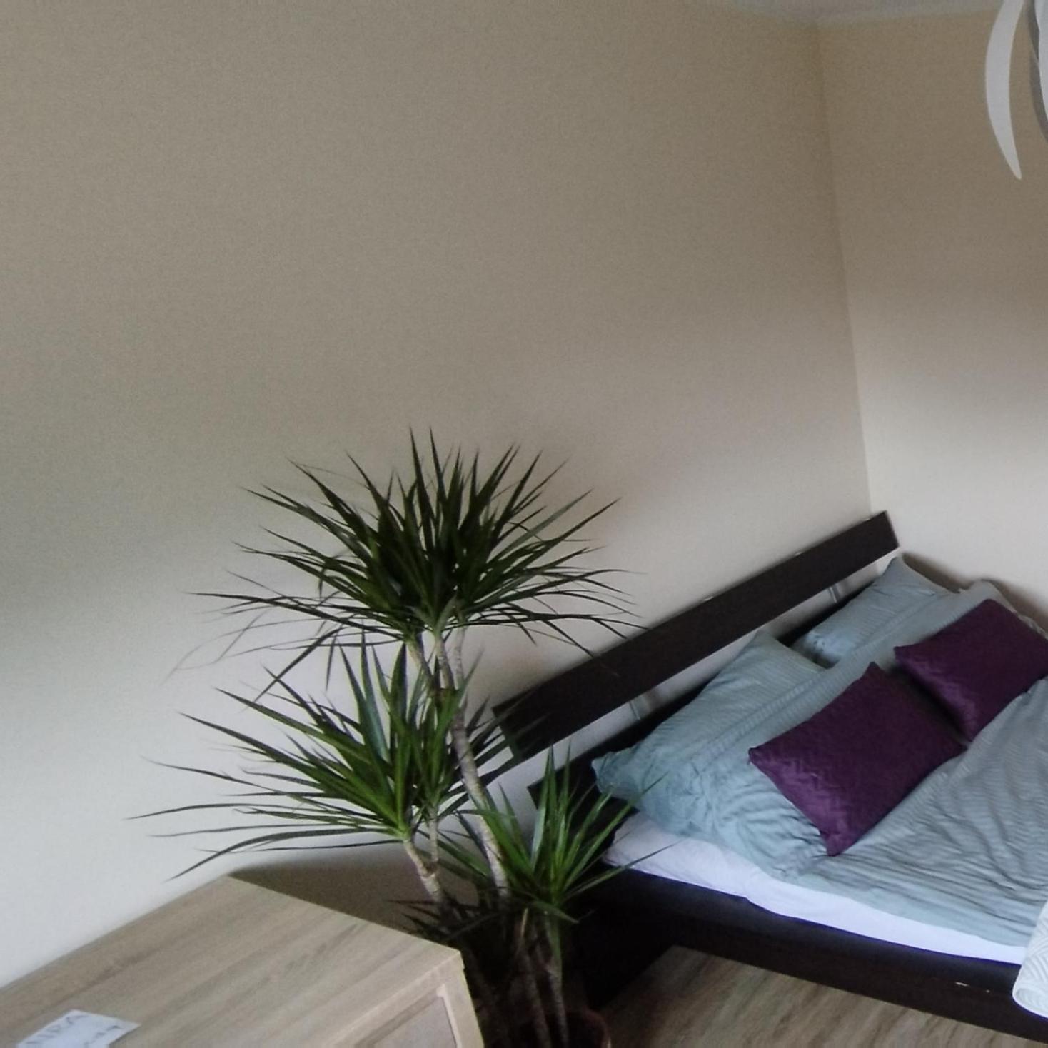 Apartament A8 Gdynia Orlowo 外观 照片